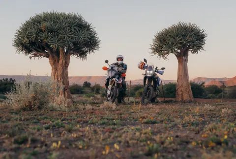 Two quiver trees with riders on motorcycles resting between them