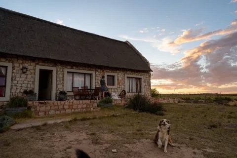 A thatched stone cottage with a stoep and a dog at sunset